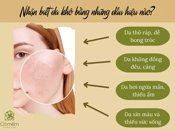 Dấu hiệu nhận biết da khô