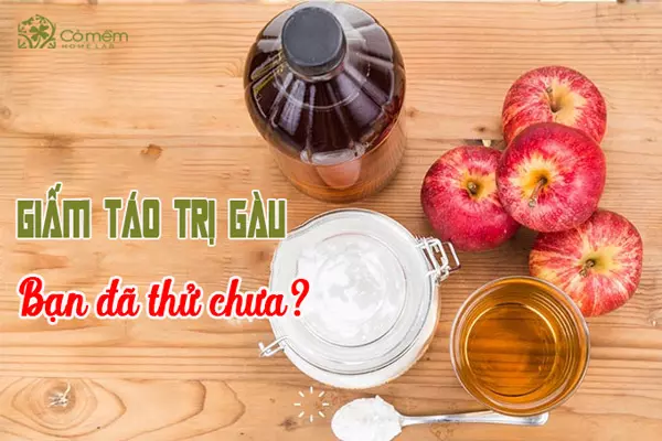 gội đầu trị gàu