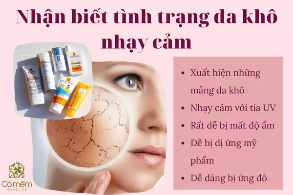 Top 5 Kem chống nắng cho da khô nhạy cảm từ thảo mộc tự nhiên