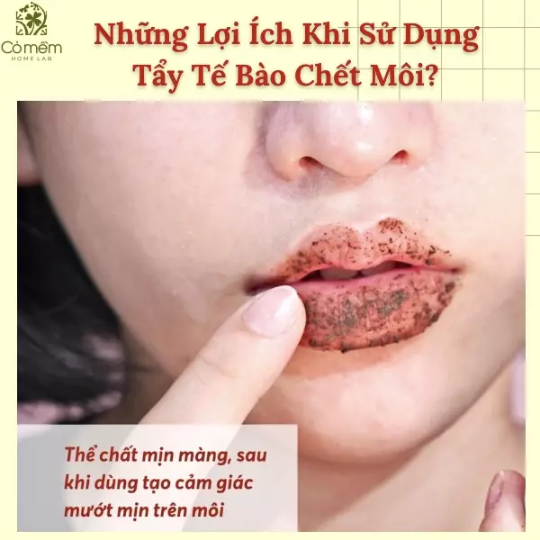 tẩy tế bào chết môi