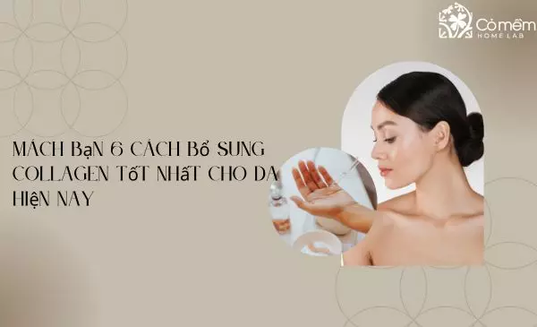 Mách bạn 6 cách bổ sung collagen tốt nhất cho da hiện nay