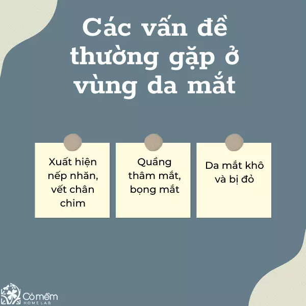 Các vấn đề thường gặp ở vùng da mắt 