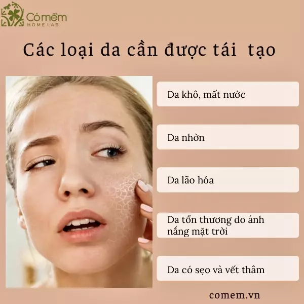 cách đẩy nhanh quá trình tái tạo da