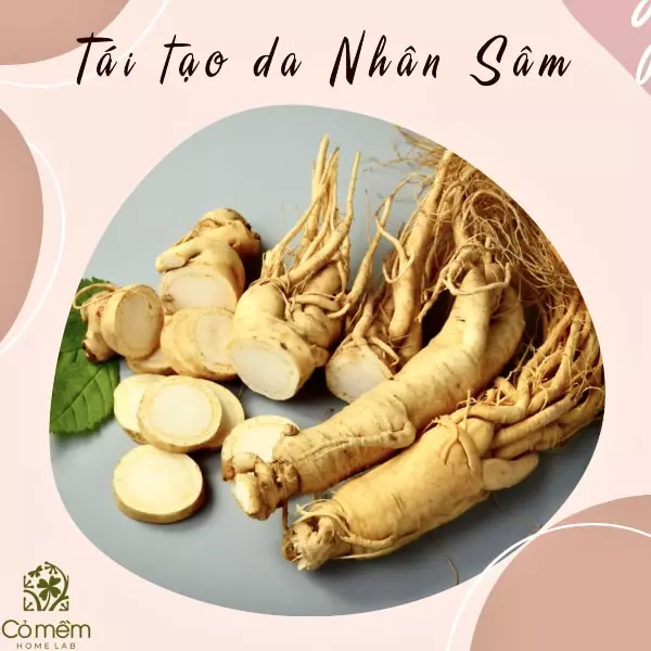 tái tạo da nhân sâm