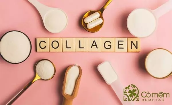 Giải nhanh đáp gọn: Uống collagen có tăng cân không?