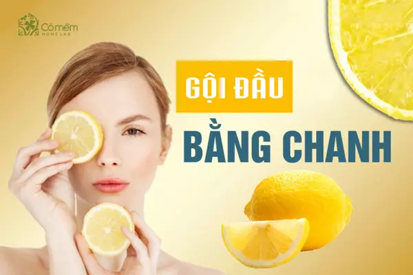 7+ Cách gội đầu bằng chanh ngăn rụng tóc, trị gàu hiệu quả