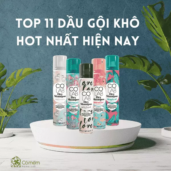 dầu gội khô nào tốt