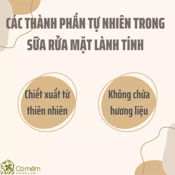 Các thành phần trong sữa rửa mặt lành tính