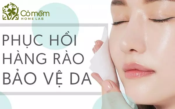 sữa rửa mặt dưỡng ẩm cho da khô