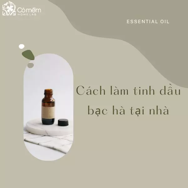 cách làm tinh dầu bạc hà