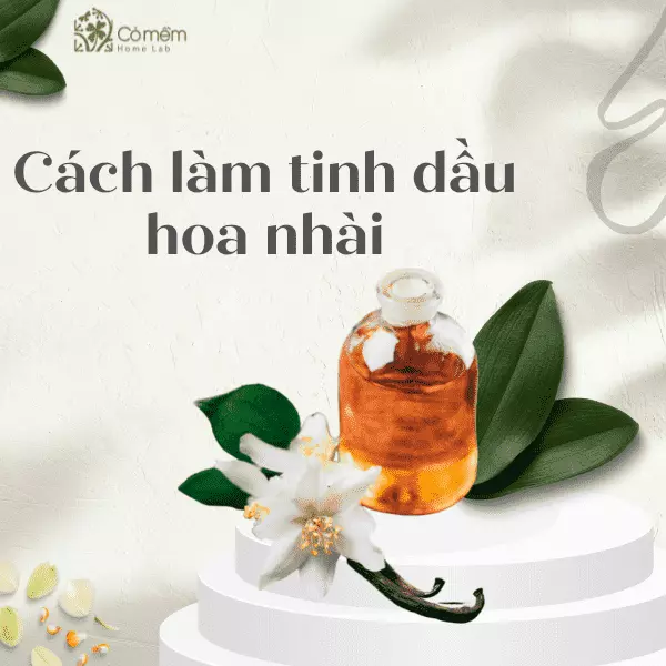 cách làm tinh dầu hoa nhài