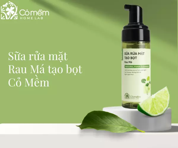 Sữa rửa mặt tạo bọt Rau Má Cỏ Mềm dành cho da dầu