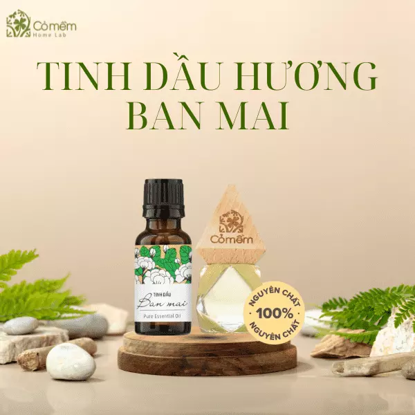 tinh dầu hoa nhài có tác dụng gì