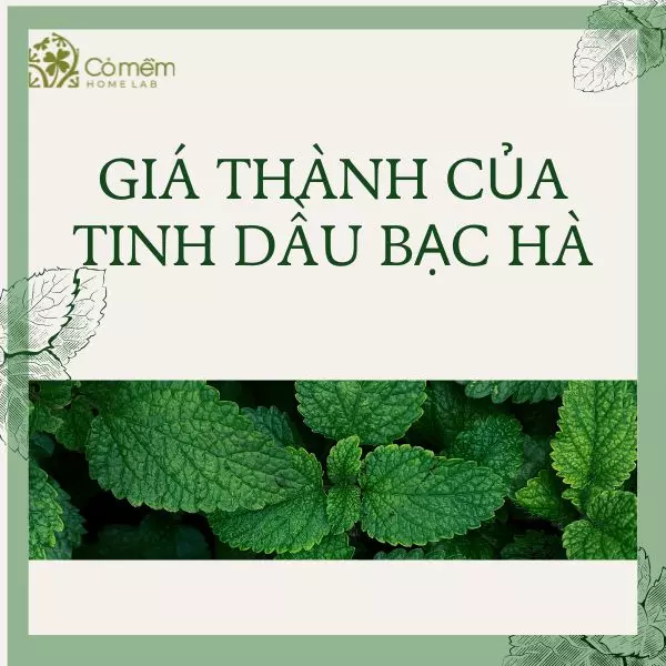 tinh dầu bạc hà giá bao nhiêu