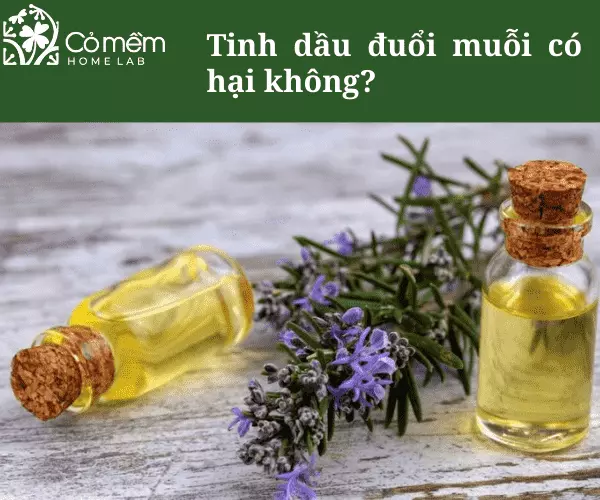 Tinh dầu chống muỗi không gây hại nếu dùng đúng cách