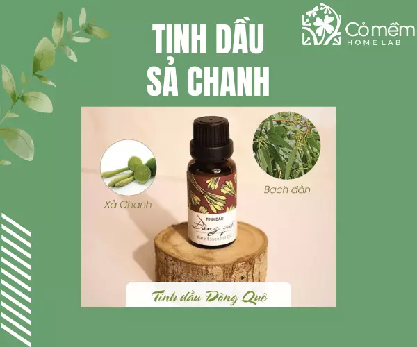 Tinh dầu sả chanh chống muỗi tốt với hương thơm dễ chịu