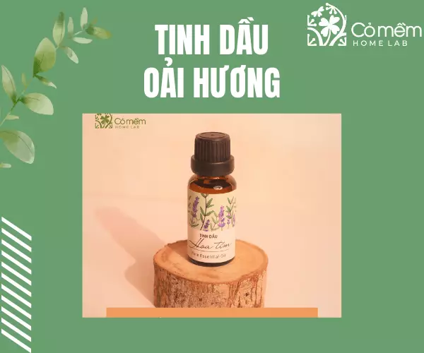 Tinh dầu oải hương có tính kháng khuẩn