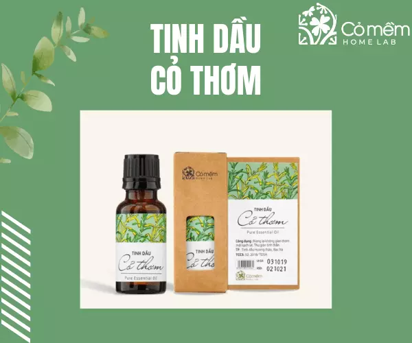 Tinh dầu Cỏ thơm còn rất phù hợp với người bị viêm xoang