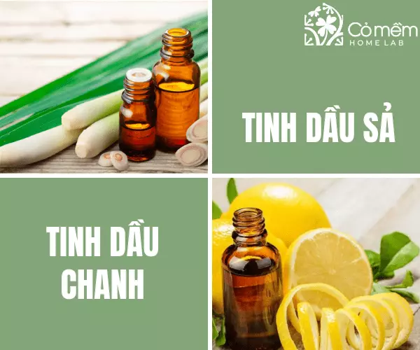 Cách làm tinh dầu chống muỗi tại nhà đơn giản 