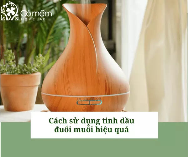 Dùng máy khuếch tán tinh dầu chống muỗi hiệu quả