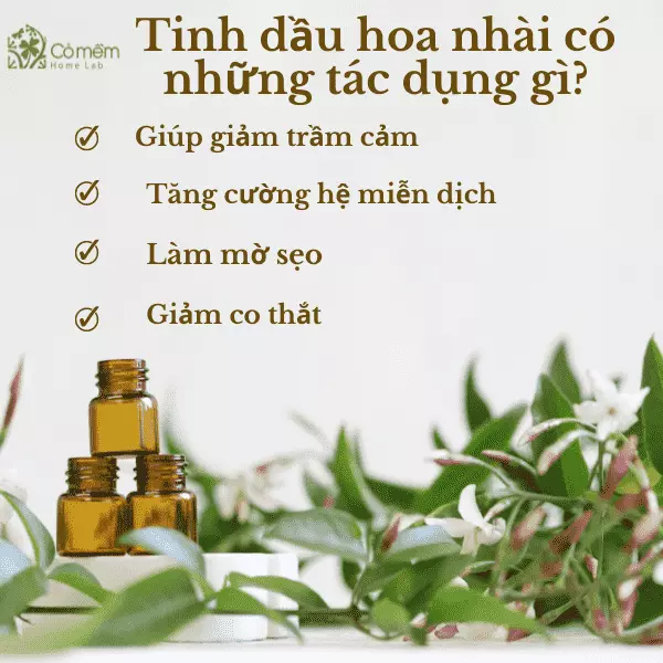 tinh dầu hoa nhài