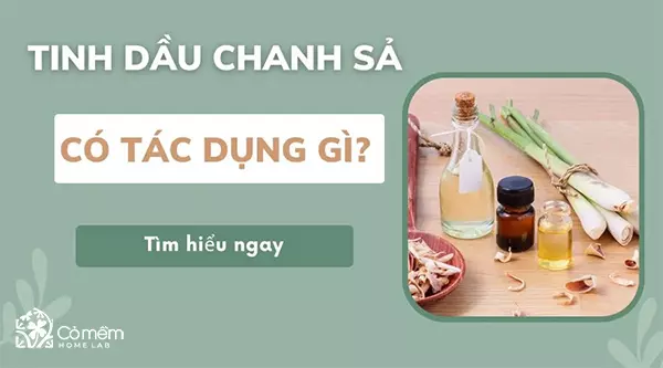 tinh dầu sả chanh có tác dụng gì