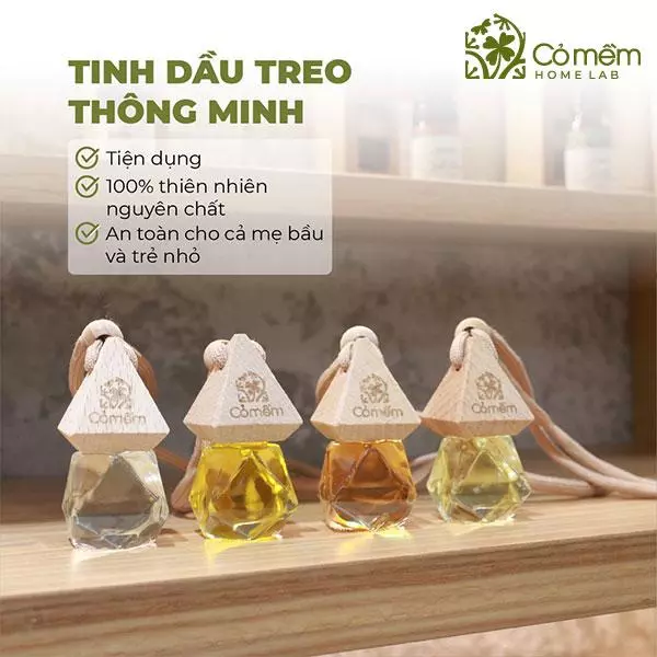 tinh dầu xe hơi cao cấp