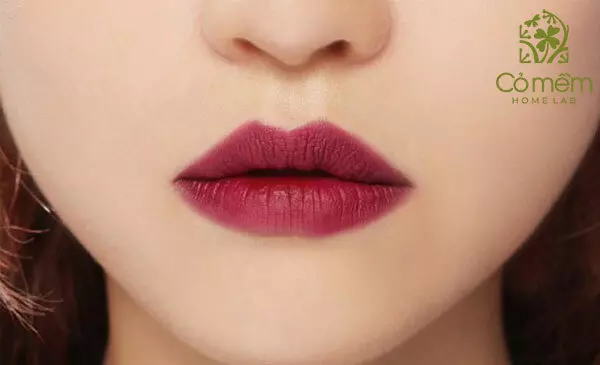 Gợi ý top 10+ son màu đỏ mận cực trendy, cá tính