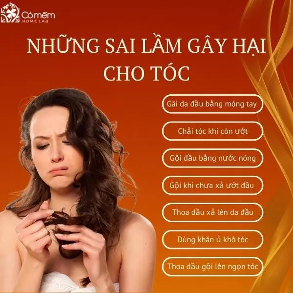 cách gội đầu sạch và thơm