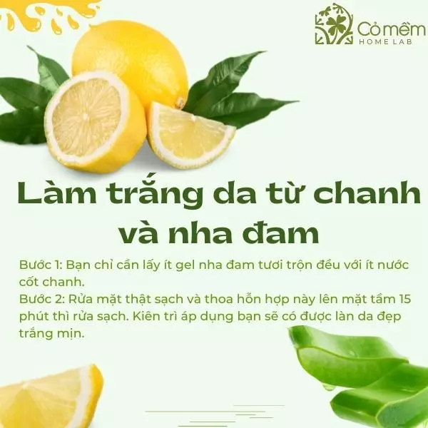 1. Những Cách Làm Trắng Da Toàn Thân Nhanh Chóng Và An Toàn