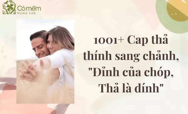 cap thả thính sang chảnh