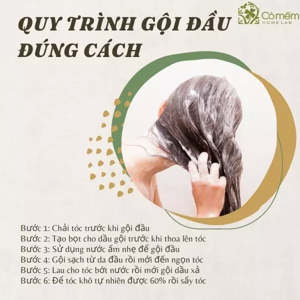 gội đầu đúng cách