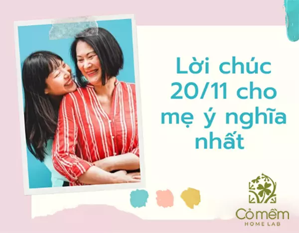 lời chúc 20/11 cho thầy cô