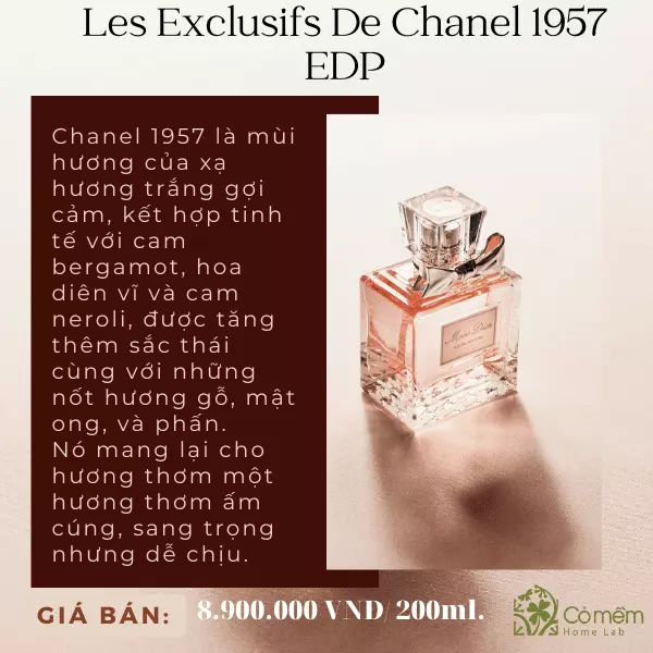 review nước hoa chanel nữ