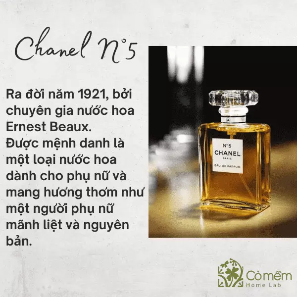 nước hoa chanel loại nào thơm nhất