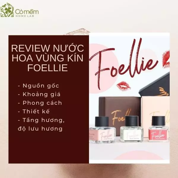 review nước hoa vùng kín foellie