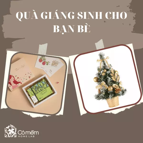 quà giáng sinh cho bạn bè