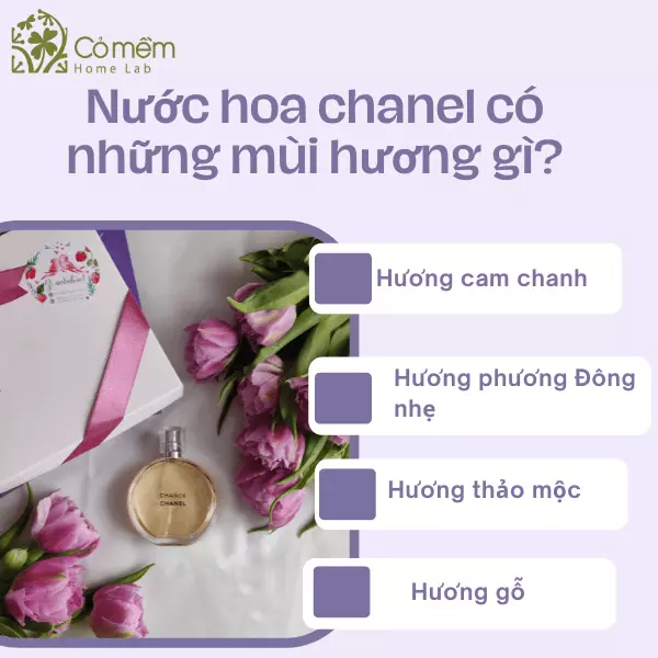 mùi nước hoa chanel được yêu thích nhất