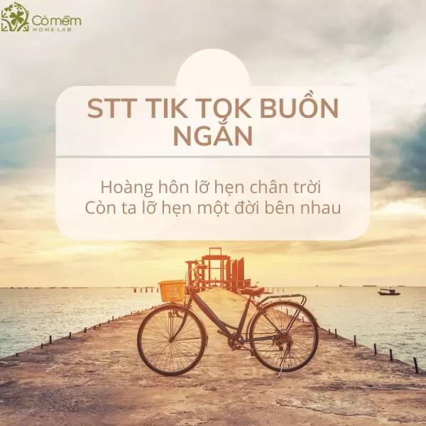 stt tik tok buồn ngắn