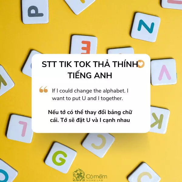 stt tik tok chất