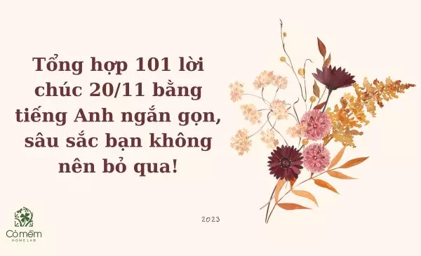 lời chúc 20/11 bằng tiếng anh