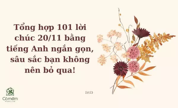 Tổng hợp 101 lời chúc 20/11 bằng tiếng Anh ngắn gọn, sâu sắc