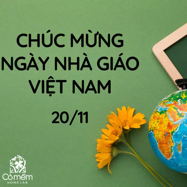 lời chúc 20/11 cho cô giáo mầm non