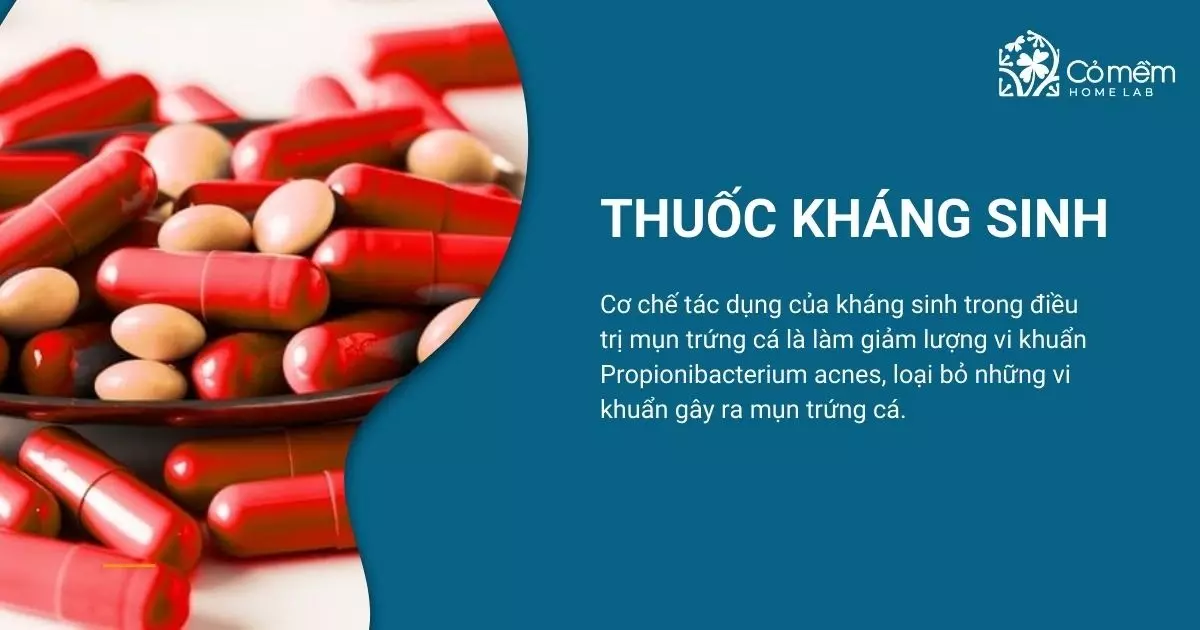 thuốc trị mụn trứng cá