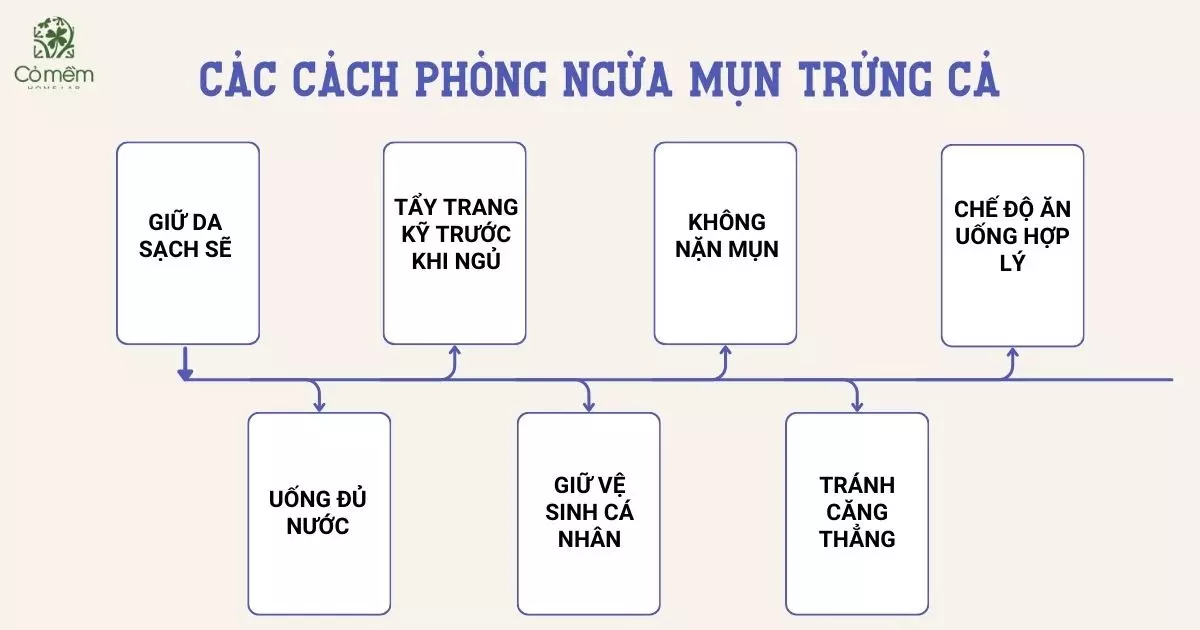 thuốc trị mụn trứng cá