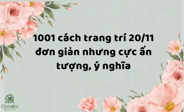 1001 cách trang trí 20/11 đơn giản cực ấn tượng, ý nghĩa