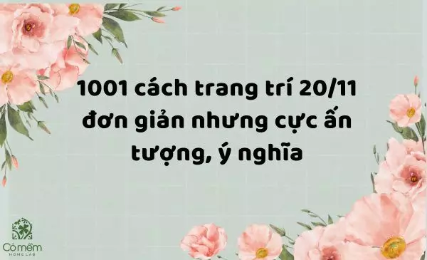 1001 cách trang trí 20/11 đơn giản cực ấn tượng, ý nghĩa