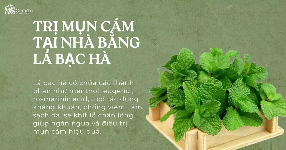 trị mụn cám