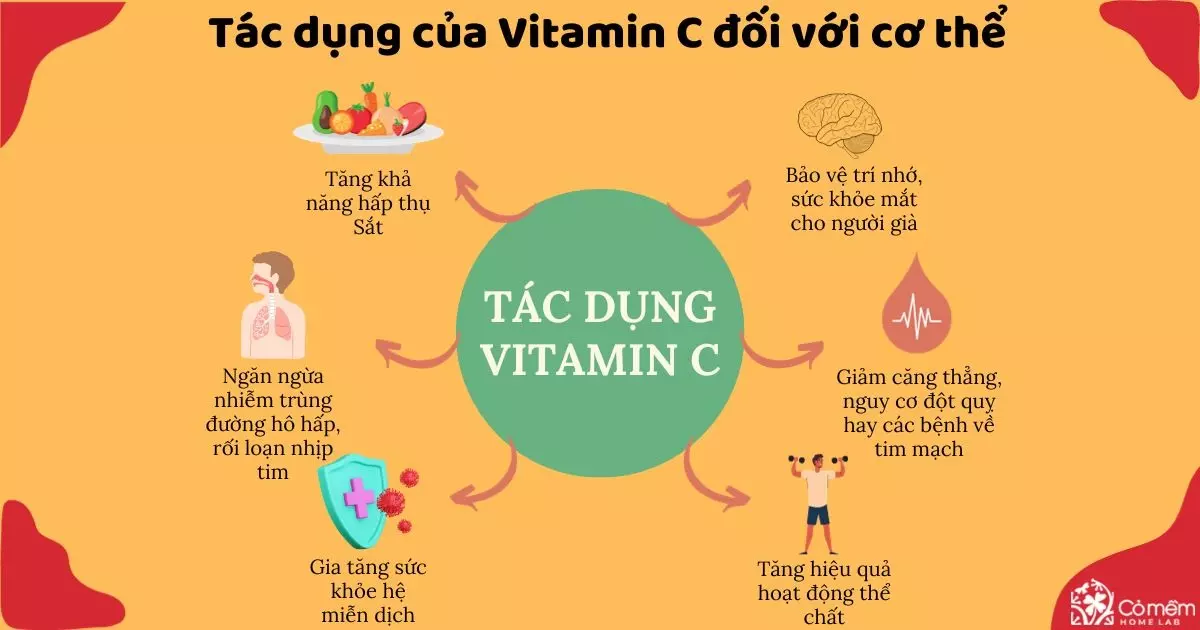 vitamin c có tác dụng gì