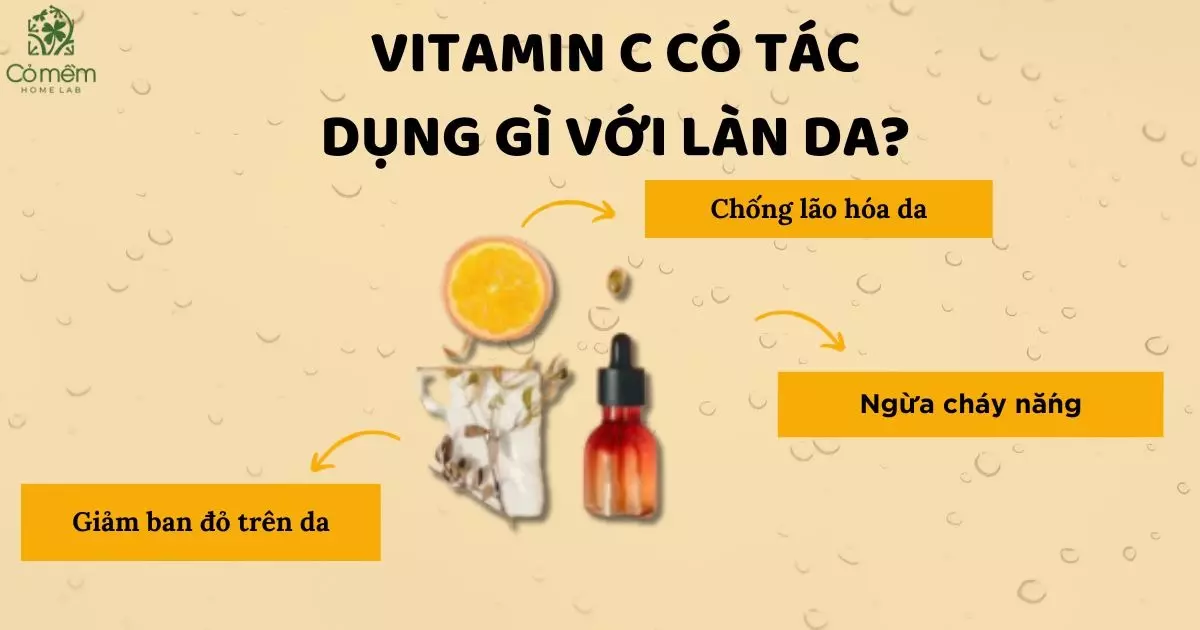 vitamin c có tác dụng gì